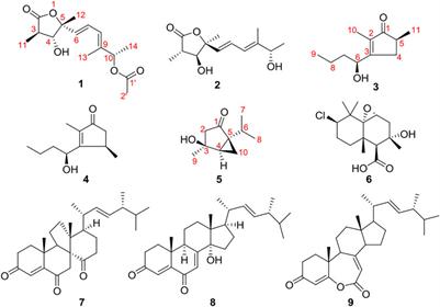 Diaportones A–C: Three New Metabolites From Endophytic Fungus Diaporthe foeniculina BZM-15